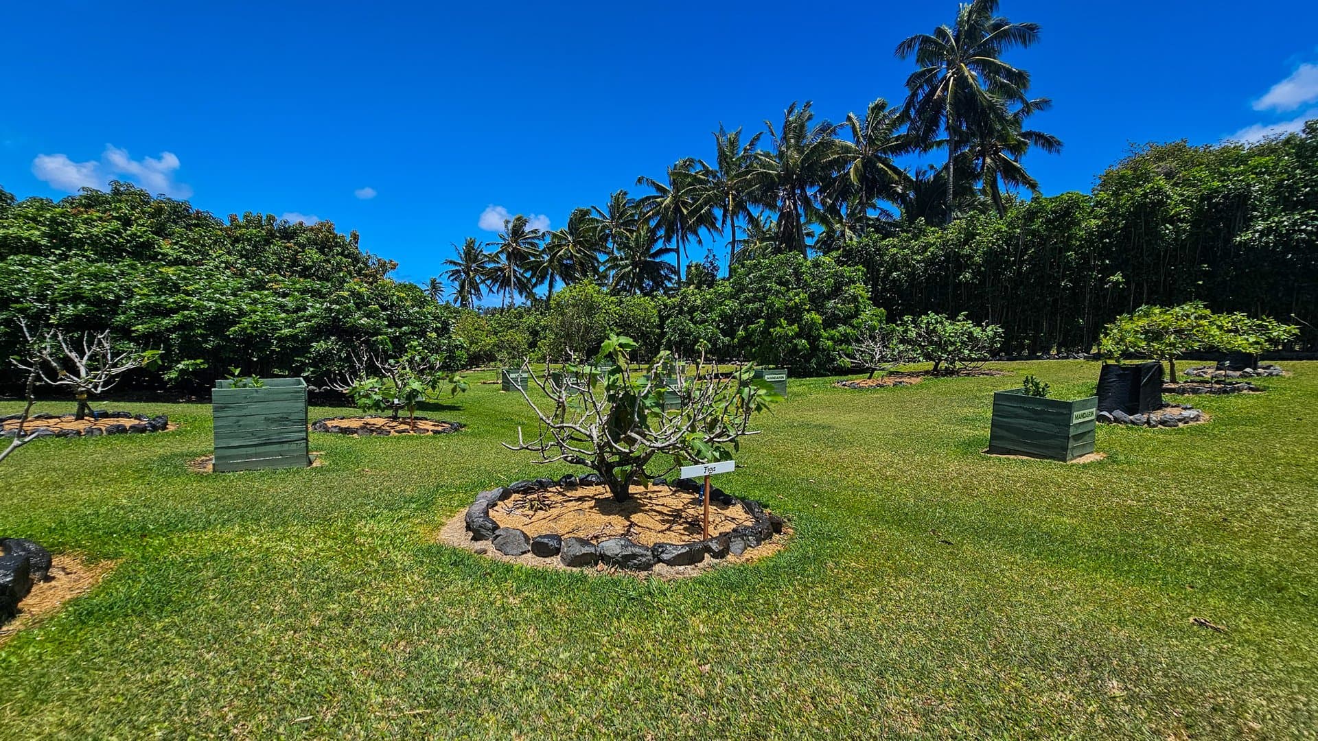 Exceptional Exotic Fruits Haven On Sunset Coast