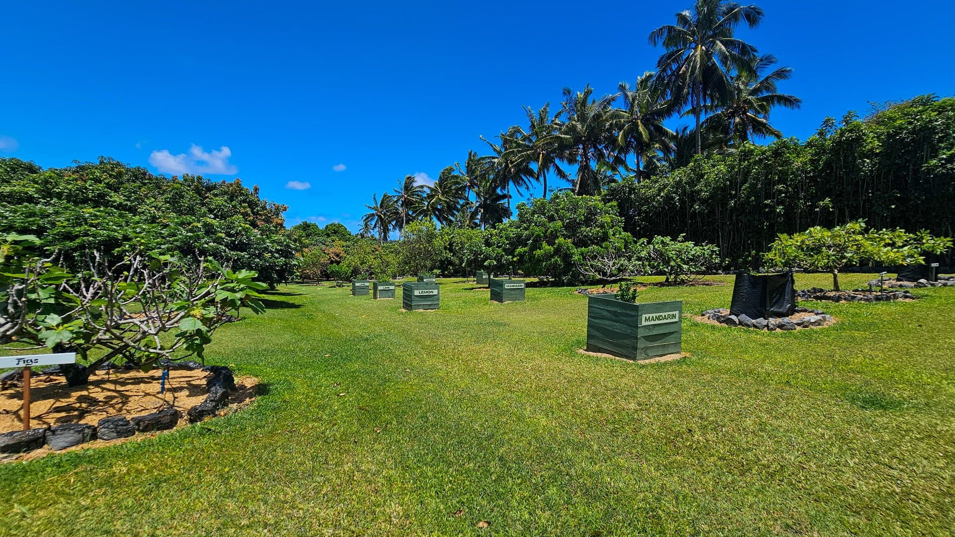 Exceptional Exotic Fruits Haven On Sunset Coast