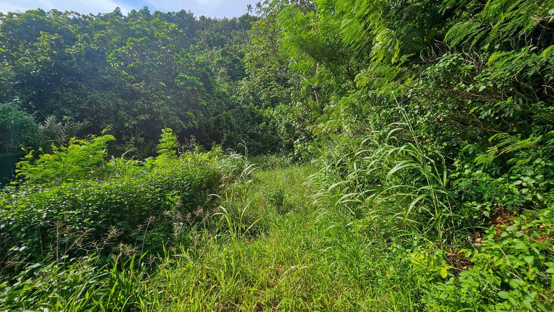 2,109 sqm Elevated Section, Matavera