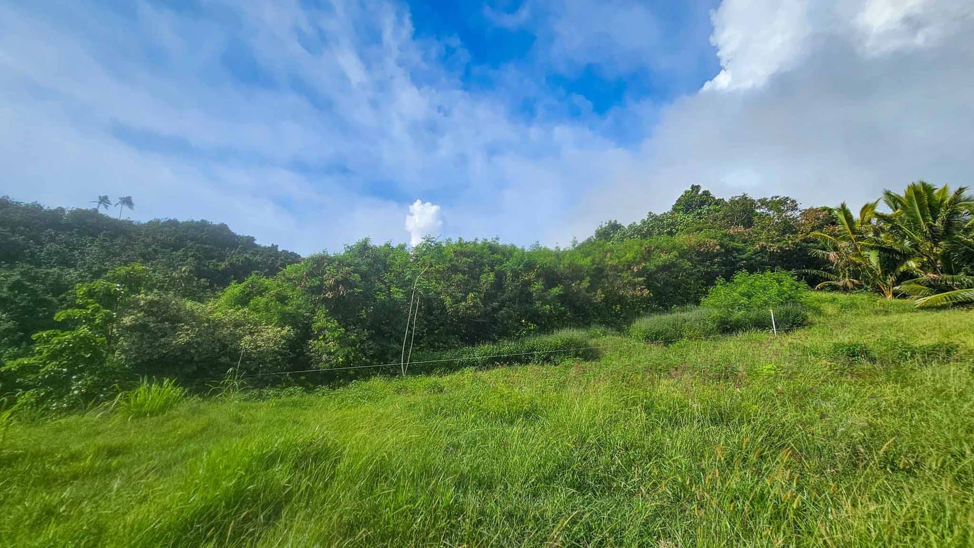 2,109 sqm Elevated Section, Matavera