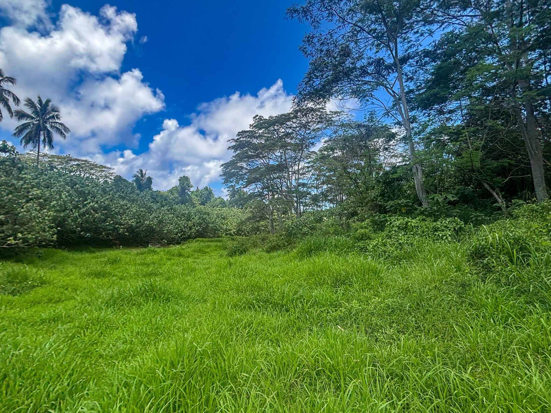 2,000 sqm Sections in Kaikaveka, Rarotonga