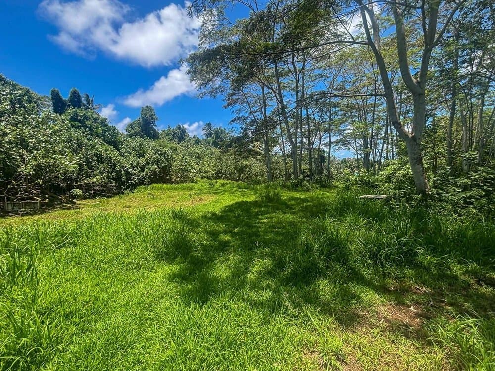 2,000 sqm Sections in Kaikaveka, Rarotonga