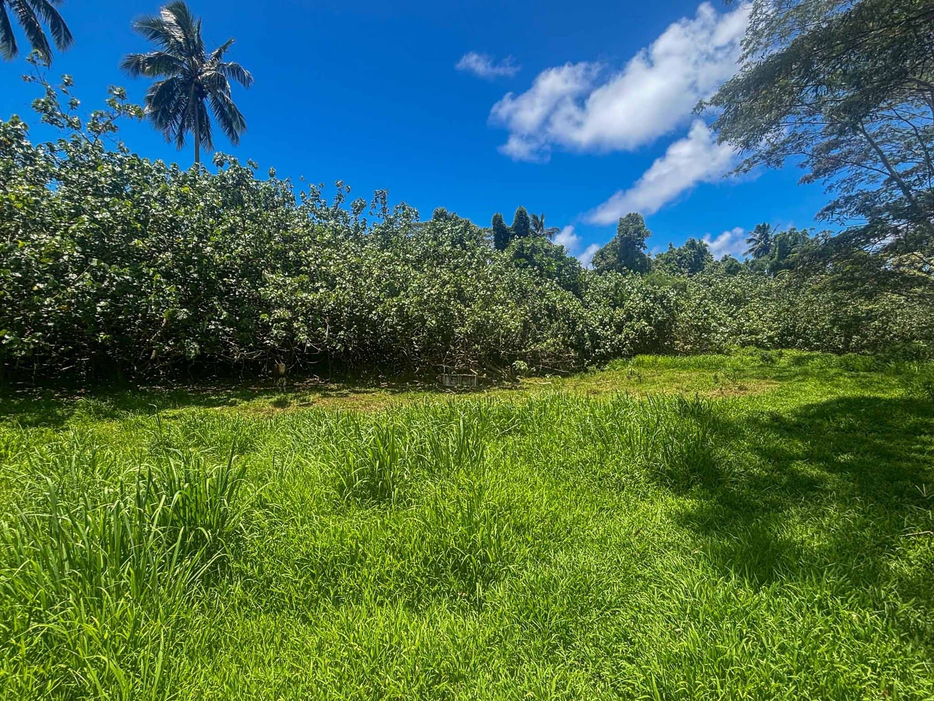 2,000 sqm Sections in Kaikaveka, Rarotonga