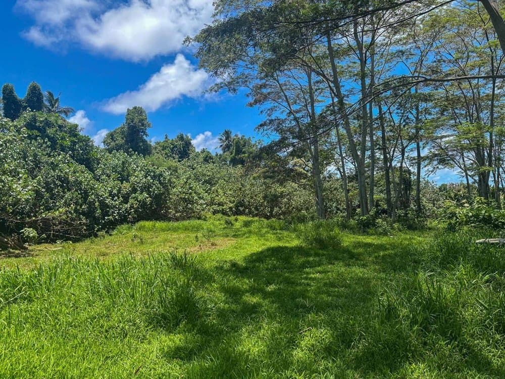 2,000 sqm Sections in Kaikaveka, Rarotonga