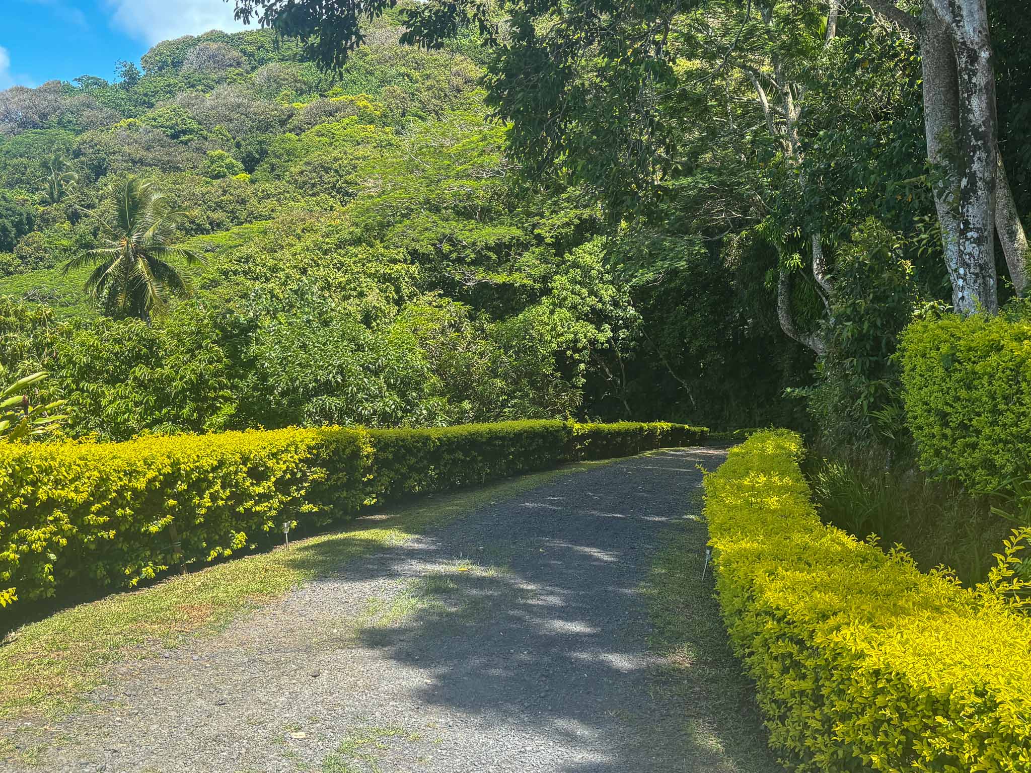 Octagonal home exterior, Muri Rarotonga